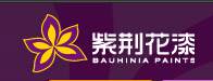 紫荆花漆.jpg